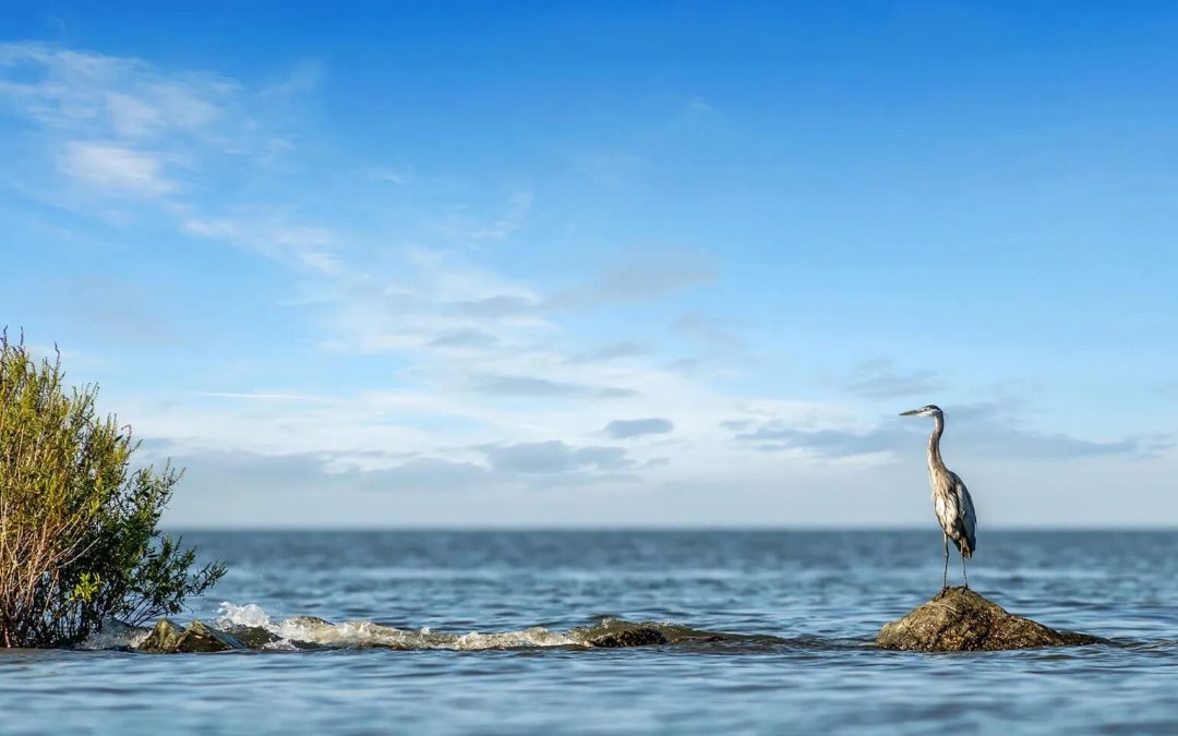 What to Do After Tax Season: Smart Moves to Prepare for Next Year